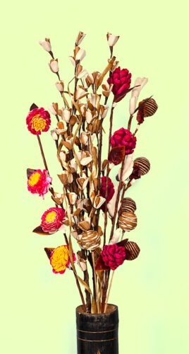 Dry Flowers & Plants